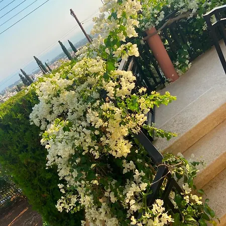 Bougainvillea Garden Appartamento Peyia