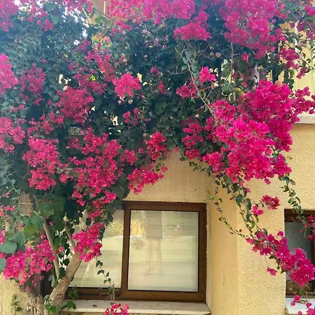 Appartamento Bougainvillea Garden *